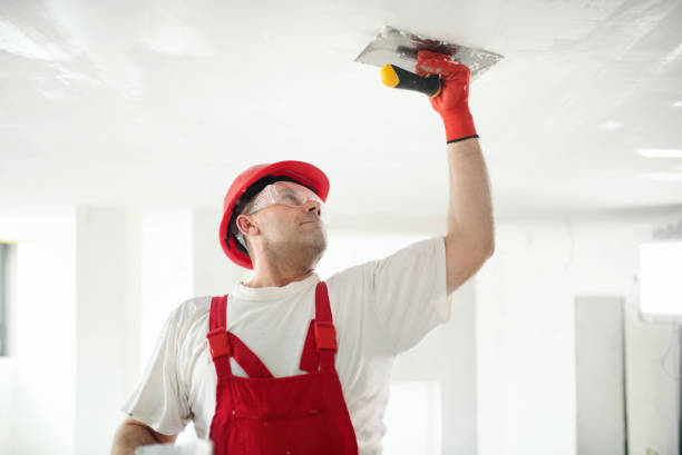 Best Repainting for Renovations  in Dillonvale, OH