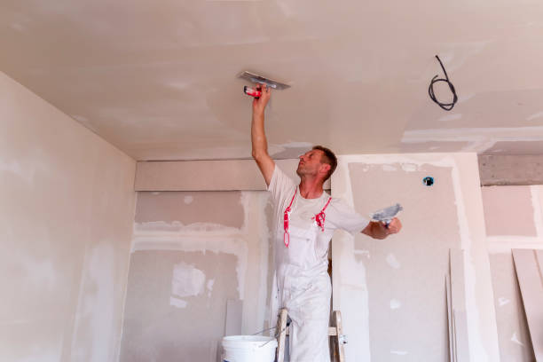 Best Drywall Installation  in Dillonvale, OH